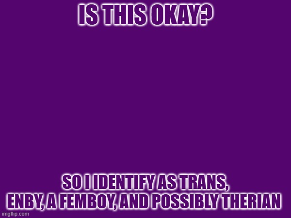 IS THIS OKAY? SO I IDENTIFY AS TRANS, ENBY, A FEMBOY, AND POSSIBLY THERIAN | made w/ Imgflip meme maker