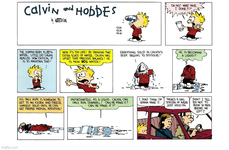 image tagged in calvin and hobbes,comics | made w/ Imgflip meme maker