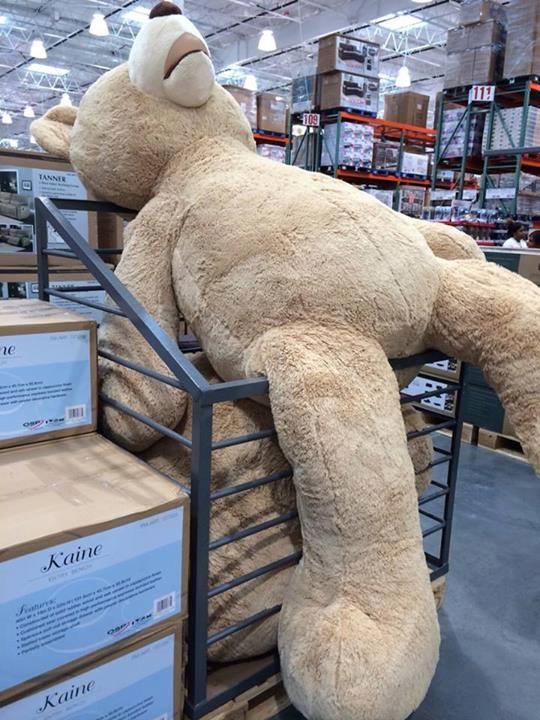 Giant Teddy Bear Blank Meme Template