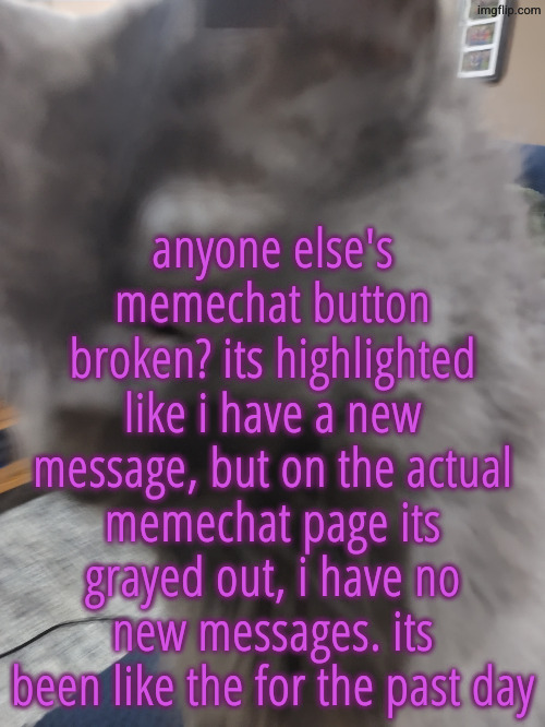 . | anyone else's memechat button broken? its highlighted like i have a new message, but on the actual memechat page its grayed out, i have no new messages. its been like the for the past day | image tagged in 32's cat | made w/ Imgflip meme maker