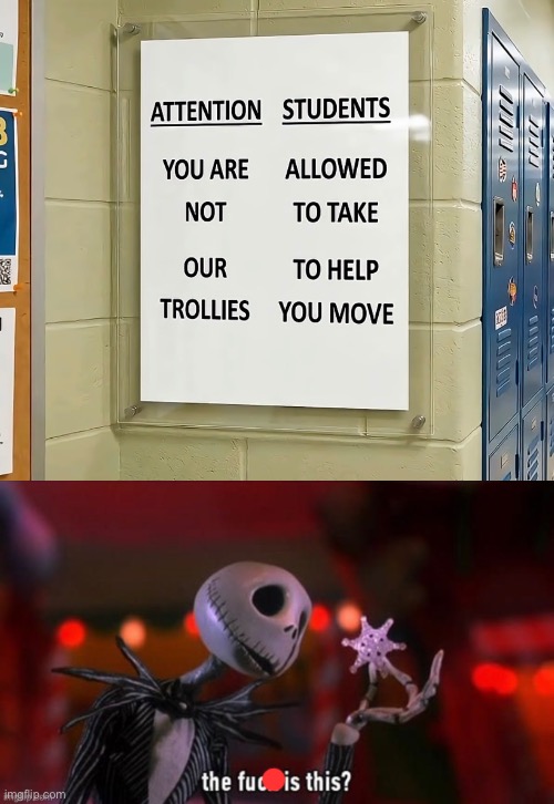 broski… what is this | image tagged in the fuck is this | made w/ Imgflip meme maker