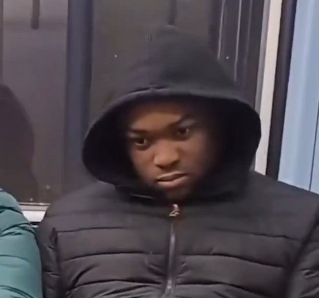 this is why we can't have nice things Blank Meme Template