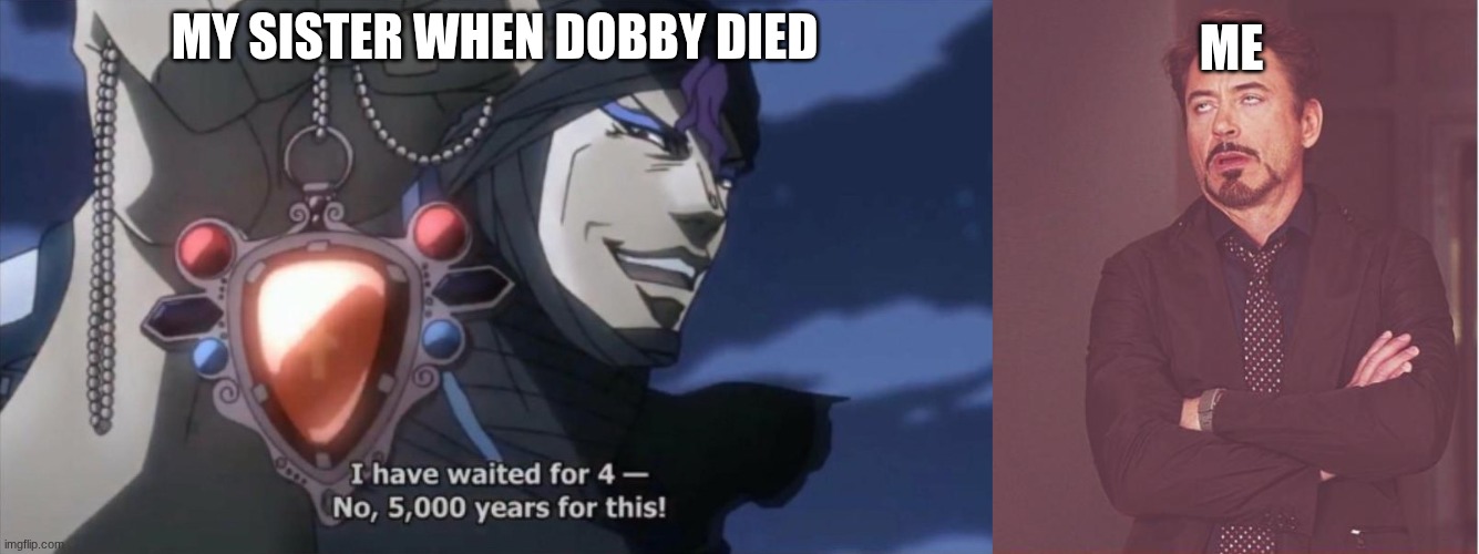 ME; MY SISTER WHEN DOBBY DIED | image tagged in i've waited for 4- no 5000 years for this,memes,face you make robert downey jr | made w/ Imgflip meme maker