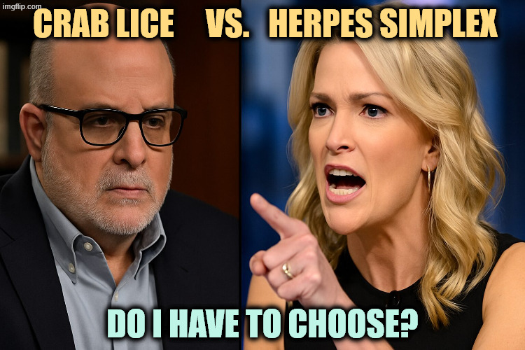 CRAB LICE     VS.   HERPES SIMPLEX; DO I HAVE TO CHOOSE? | image tagged in mark levin,megyn kelly,iran,war,trump,awful | made w/ Imgflip meme maker