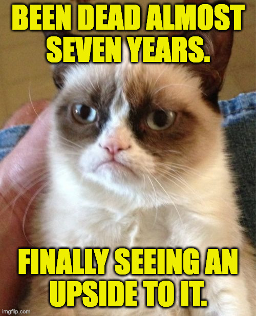 Silver lining. | BEEN DEAD ALMOST
SEVEN YEARS. FINALLY SEEING AN
UPSIDE TO IT. | image tagged in memes,grumpy cat | made w/ Imgflip meme maker