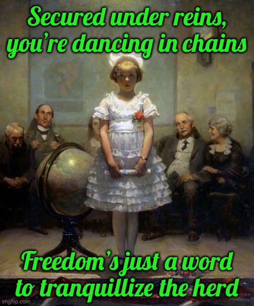 Rockwell | Secured under reins, you’re dancing in chains; Freedom’s just a word to tranquillize the herd | image tagged in rockwell | made w/ Imgflip meme maker