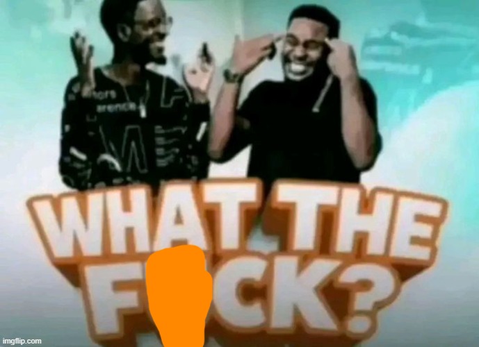 what the fuck? | image tagged in what the fuck | made w/ Imgflip meme maker