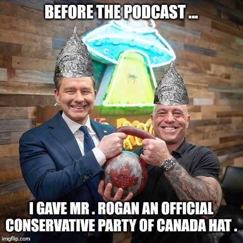 Canadian politics | image tagged in political meme | made w/ Imgflip meme maker