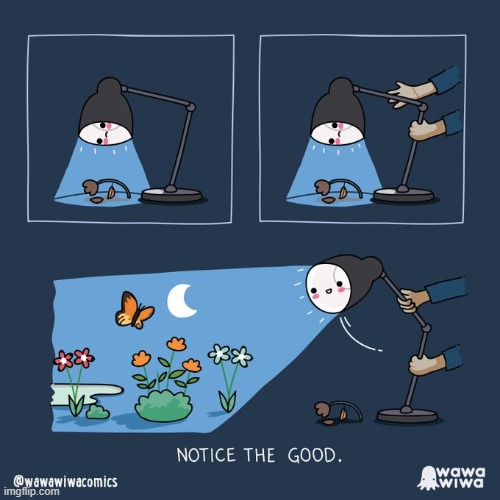 image tagged in lamp,light,flowers,butterfly,good,aww | made w/ Imgflip meme maker