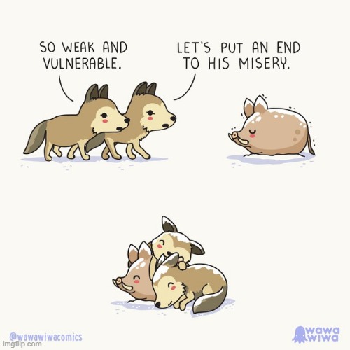 image tagged in coyotes,boar,snow,cold,snuggle,aww | made w/ Imgflip meme maker