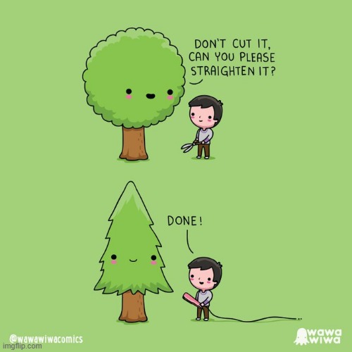 image tagged in tree,barber,hair,straightener,hair straightener,pine tree | made w/ Imgflip meme maker