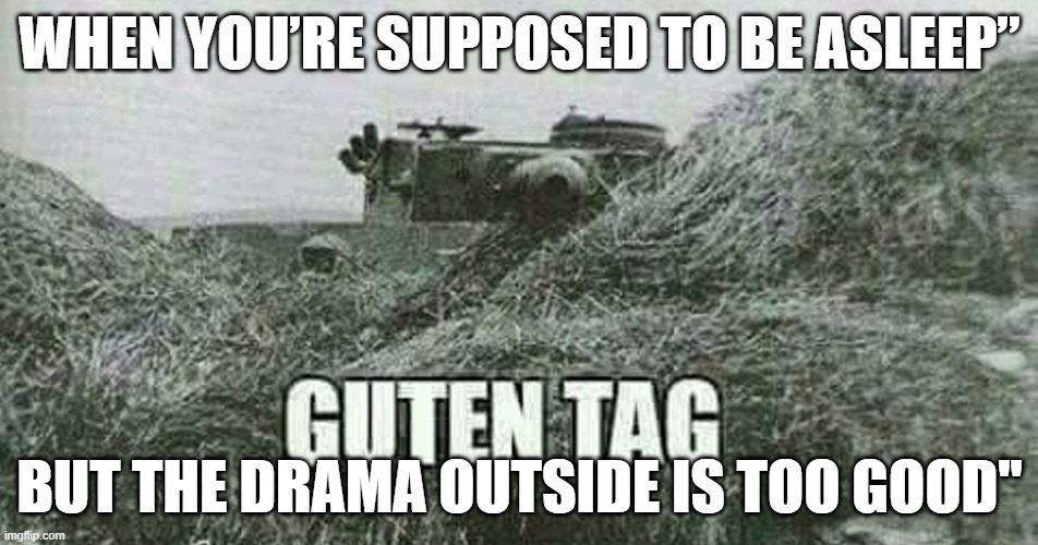 German guten tag tiger | WHEN YOU’RE SUPPOSED TO BE ASLEEP”; BUT THE DRAMA OUTSIDE IS TOO GOOD'' | image tagged in german guten tag tiger | made w/ Imgflip meme maker