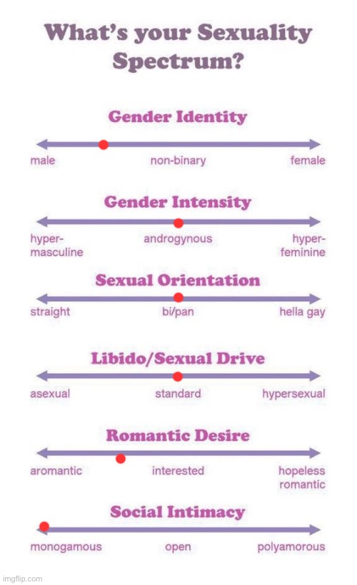 What's your sexuality spectrum? | image tagged in what's your sexuality spectrum | made w/ Imgflip meme maker
