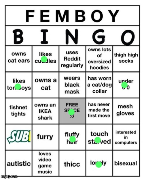 Femboy Bingo | image tagged in femboy bingo,msmg | made w/ Imgflip meme maker