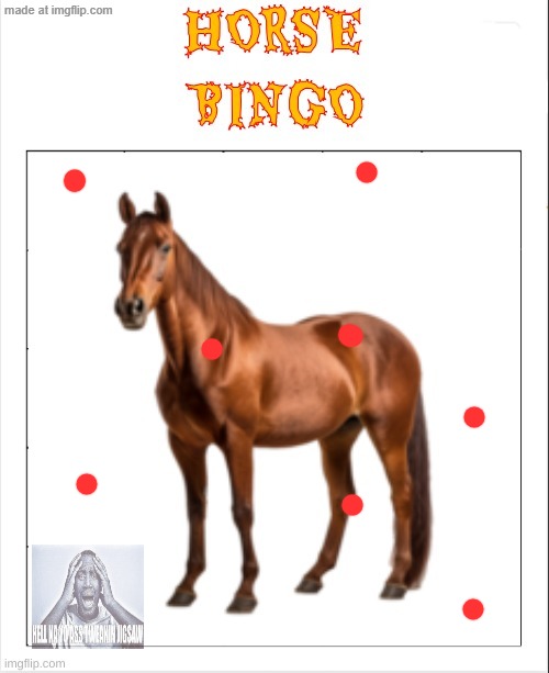 EmotionalSupportBee HORSE BINGO | image tagged in emotionalsupportbee horse bingo | made w/ Imgflip meme maker