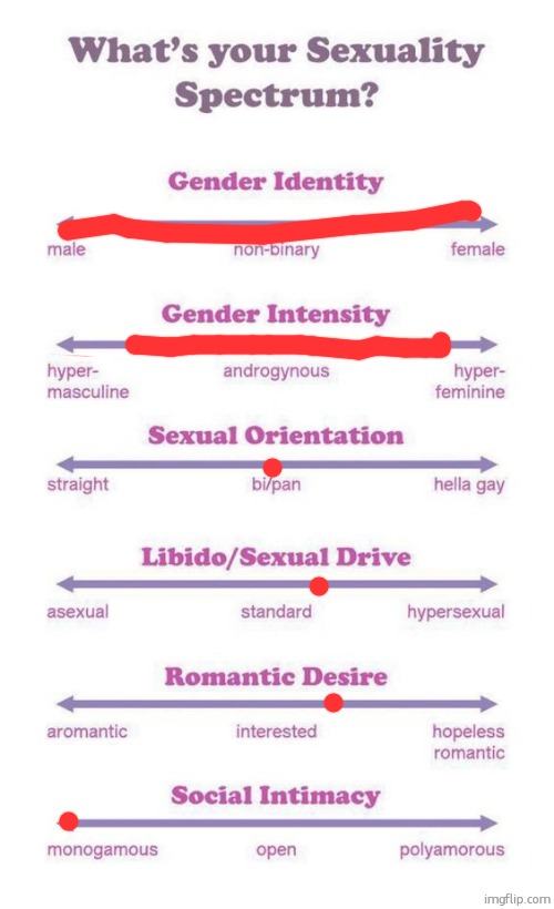 i AM the spectrum | image tagged in what's your sexuality spectrum | made w/ Imgflip meme maker