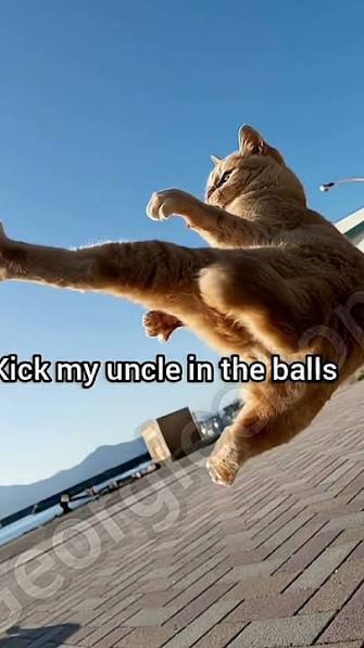 Cry Blank Meme Template