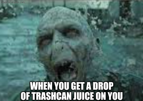 it's really gross | WHEN YOU GET A DROP OF TRASHCAN JUICE ON YOU | image tagged in harry potter,random bullshit go,grandma | made w/ Imgflip meme maker