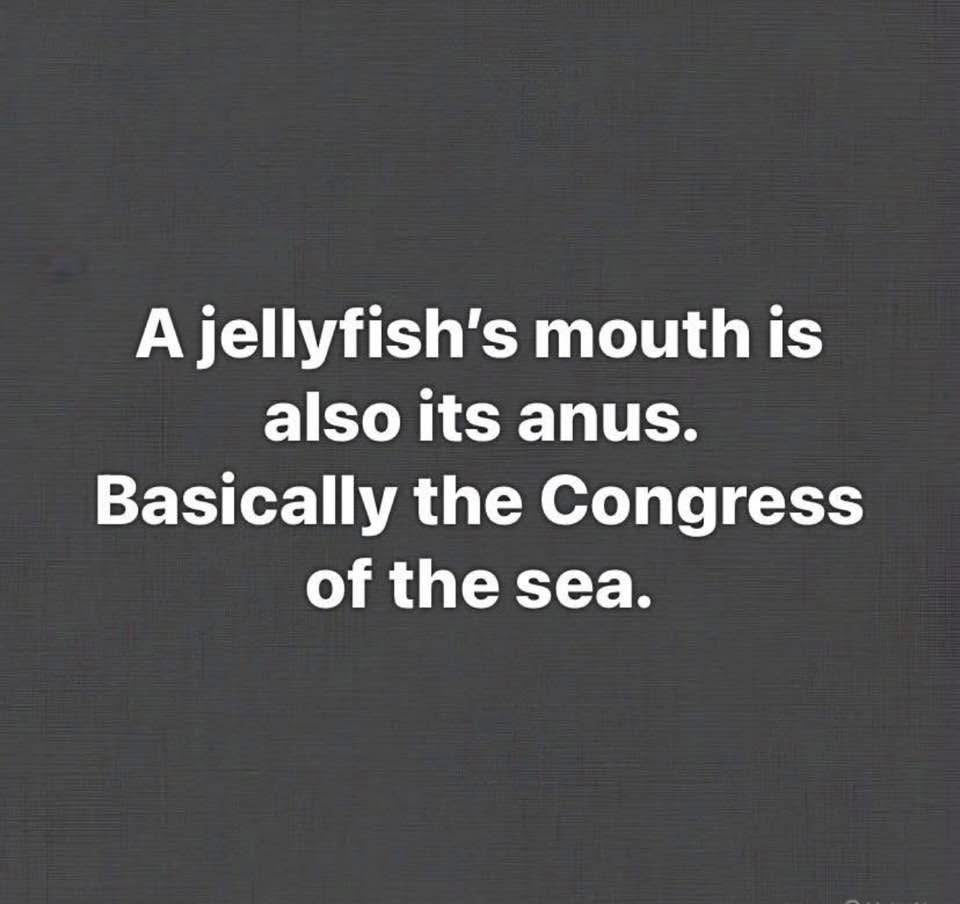 Today’s Congress! Blank Meme Template