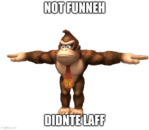 NOT FUNNEH DIDNTE LAFF | image tagged in donkey kong t-pose | made w/ Imgflip meme maker