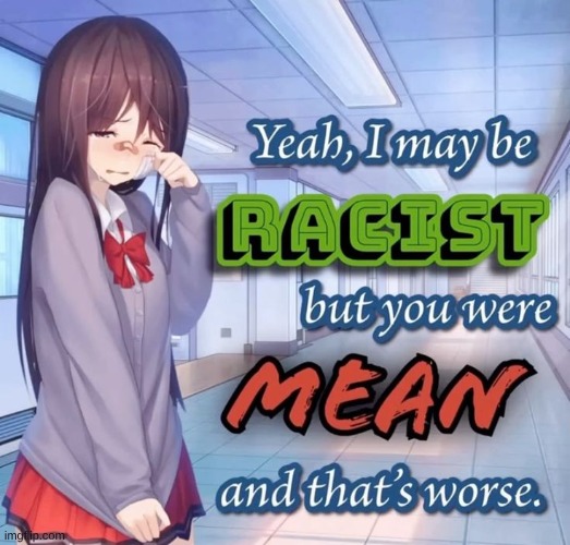 Yeah i may be racist but you were mean and that's worse | image tagged in yeah i may be racist but you were mean and that's worse | made w/ Imgflip meme maker