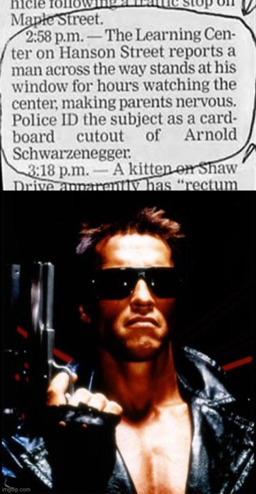 Arnold Schwarzenegger | image tagged in terminator arnold schwarzenegger | made w/ Imgflip meme maker