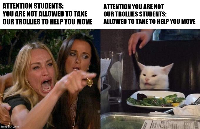 ATTENTION STUDENTS: YOU ARE NOT ALLOWED TO TAKE OUR TROLLIES TO HELP YOU MOVE ATTENTION YOU ARE NOT OUR TROLLIES STUDENTS: ALLOWED TO TAKE T | image tagged in memes,woman yelling at cat | made w/ Imgflip meme maker