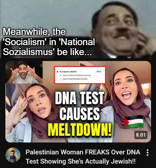 As a response, she reverts to her Muslim identity: ordained victimhood | Meanwhile, the 'Socialism' in 'National Sozialismus' be like... | image tagged in funny,jews,racism,politics,muslim | made w/ Imgflip meme maker