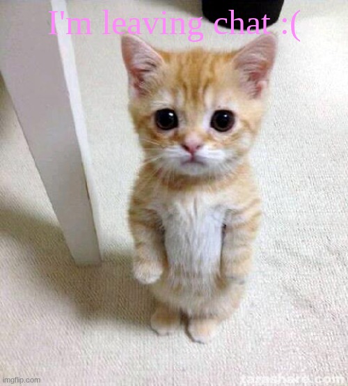 :( | I'm leaving chat :( | image tagged in memes,cute cat | made w/ Imgflip meme maker