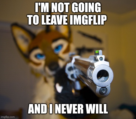 Furry with gun | I'M NOT GOING TO LEAVE IMGFLIP; AND I NEVER WILL | image tagged in furry with gun | made w/ Imgflip meme maker