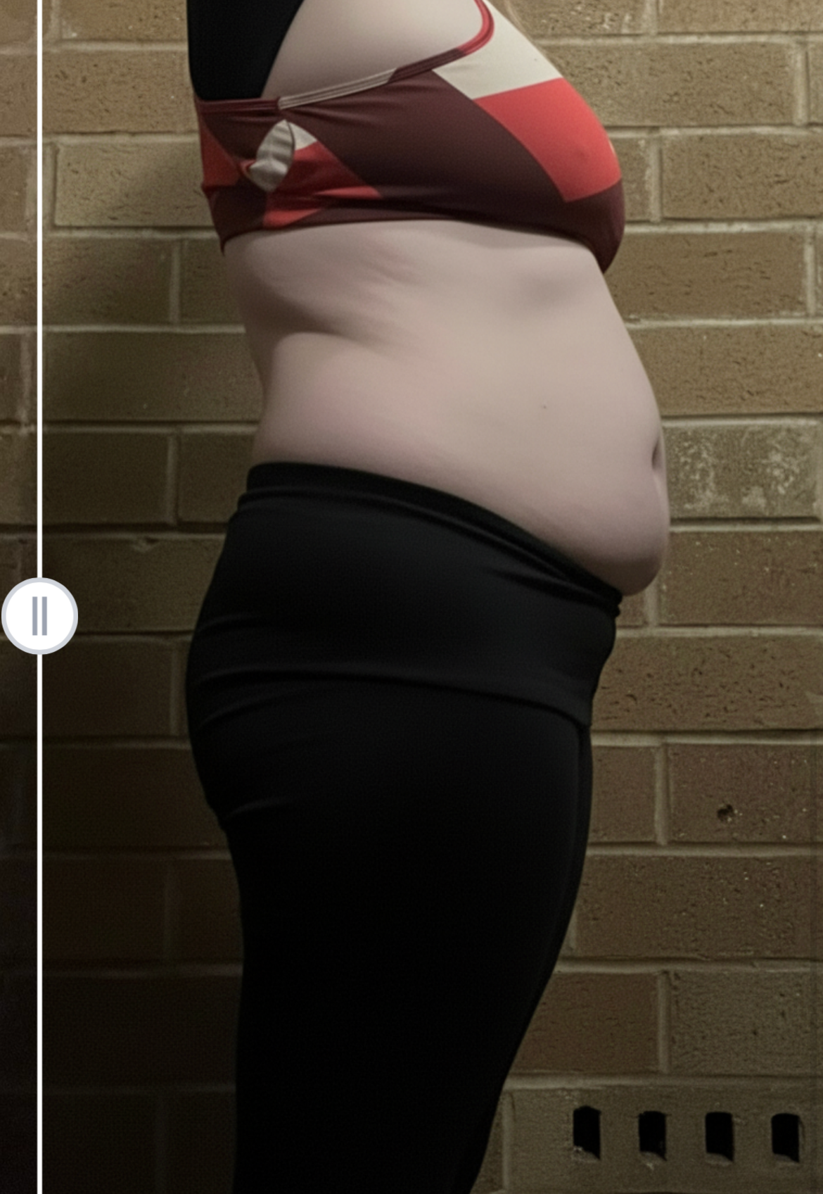 Chubby porker Blank Meme Template