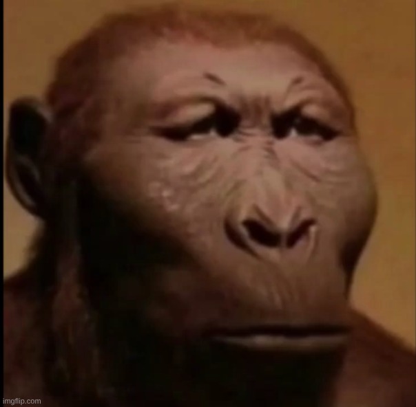 Enrique | image tagged in enrique | made w/ Imgflip meme maker