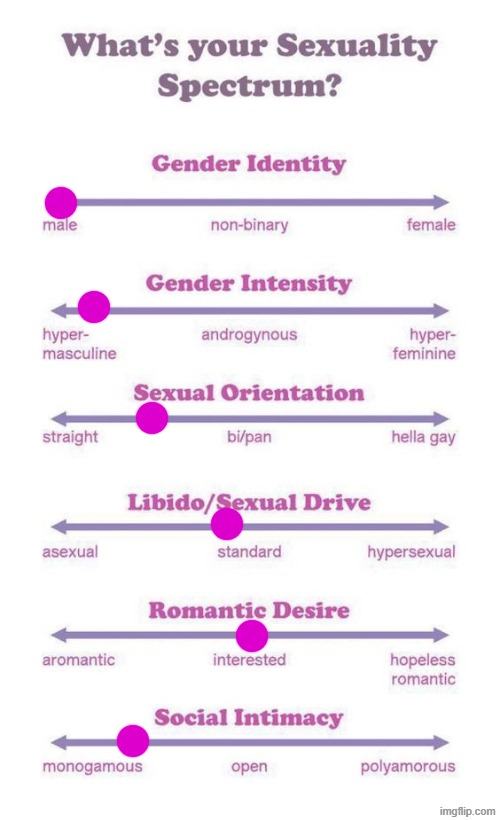 More stupid ass degen thingos I found for no reason lesgoo | image tagged in what's your sexuality spectrum | made w/ Imgflip meme maker