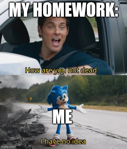 Sonic I have no idea | MY HOMEWORK:; ME | image tagged in sonic i have no idea | made w/ Imgflip meme maker