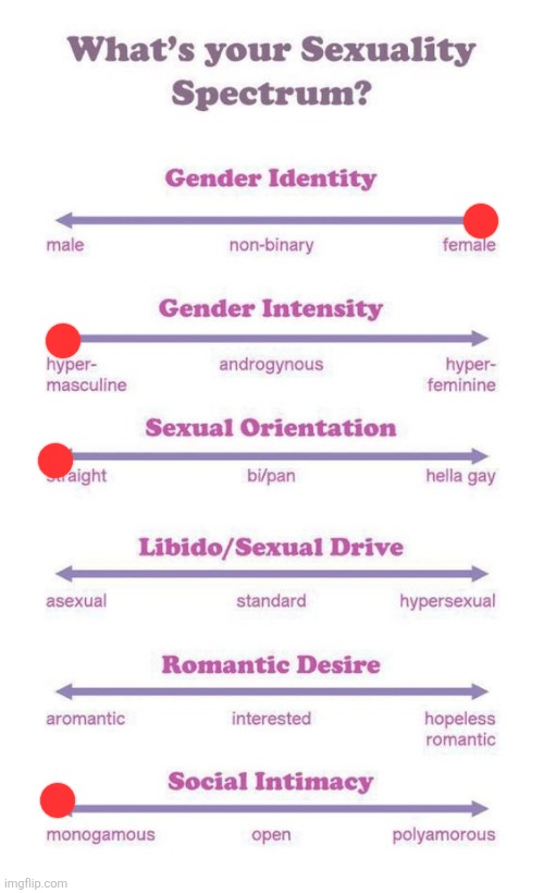 What's your sexuality spectrum? | image tagged in what's your sexuality spectrum | made w/ Imgflip meme maker