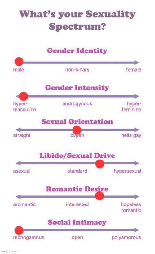ts is so ass | image tagged in what's your sexuality spectrum | made w/ Imgflip meme maker