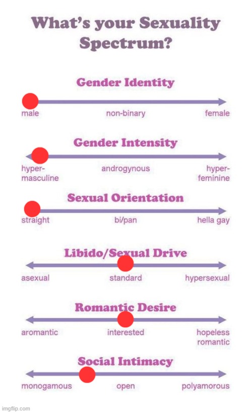 here yall go | image tagged in what's your sexuality spectrum | made w/ Imgflip meme maker