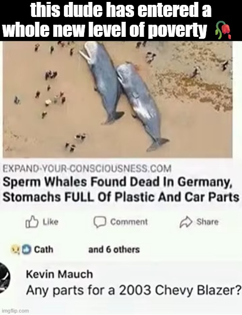 this mf broker than me!! | this dude has entered a whole new level of poverty 🥀 | image tagged in broke | made w/ Imgflip meme maker