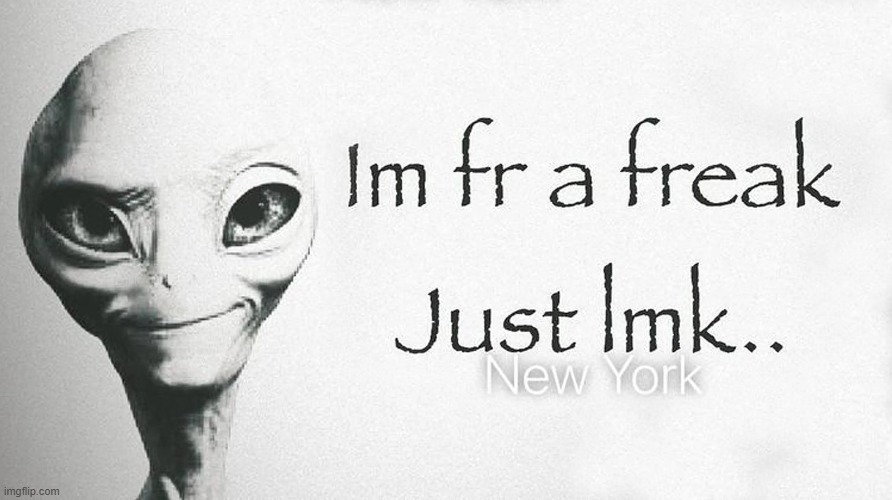 image tagged in lol | made w/ Imgflip meme maker