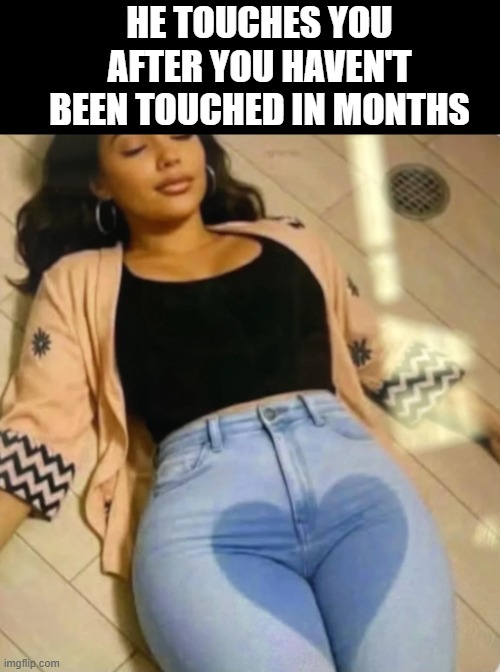 That Touch | HE TOUCHES YOU AFTER YOU HAVEN'T BEEN TOUCHED IN MONTHS | image tagged in sex jokes | made w/ Imgflip meme maker