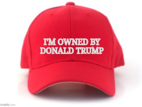 Suckers and Losers | image tagged in suckers and losers,sold out democracy for this hat,higher prices lower jobs crested,please stop winning so much | made w/ Imgflip meme maker