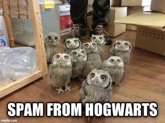 Dear Hogwarts...STOP | image tagged in repost | made w/ Imgflip meme maker