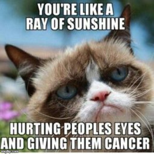 Sunshine | image tagged in repost | made w/ Imgflip meme maker