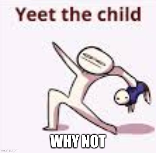 just why not | WHY NOT | image tagged in single yeet the child panel | made w/ Imgflip meme maker