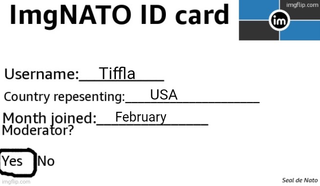 id | Tiffla; USA; February | image tagged in imgnato id card,nato | made w/ Imgflip meme maker