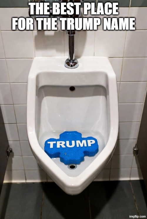 Best place for the Trump name | THE BEST PLACE FOR THE TRUMP NAME | image tagged in trump urinal cake,republican,evil,corporate greed,mammon worship,usa | made w/ Imgflip meme maker