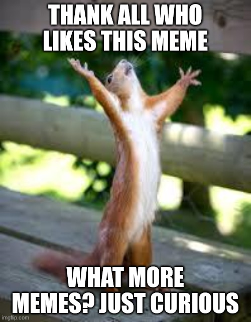 Praise Squirrel | THANK ALL WHO LIKES THIS MEME WHAT MORE MEMES? JUST CURIOUS | image tagged in praise squirrel | made w/ Imgflip meme maker