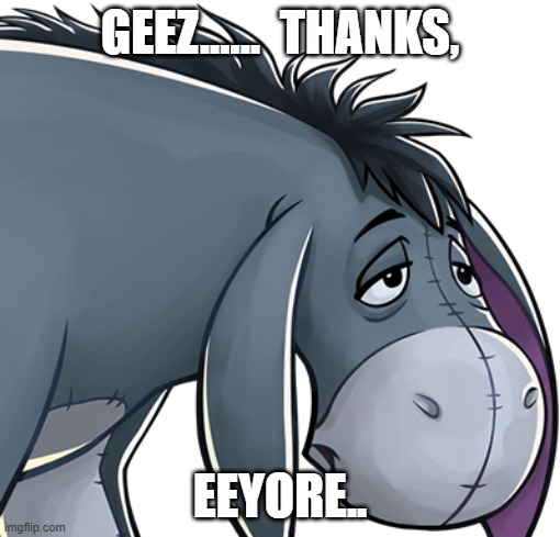 eeyore | GEEZ......  THANKS, EEYORE.. | image tagged in eeyore | made w/ Imgflip meme maker