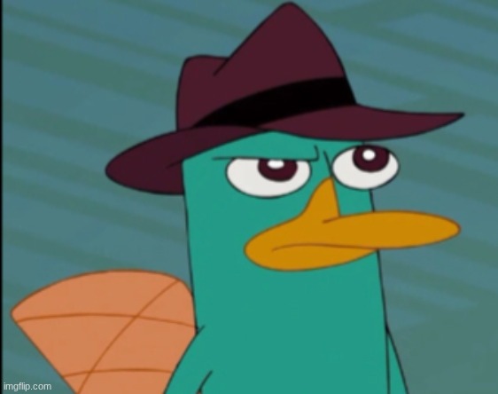 Perry the Platypus | image tagged in perry the platypus | made w/ Imgflip meme maker