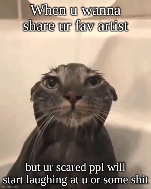 like some of you are D1 haters on anything bro :< | When u wanna share ur fav artist; but ur scared ppl will start laughing at u or some shit | image tagged in wet cat | made w/ Imgflip meme maker